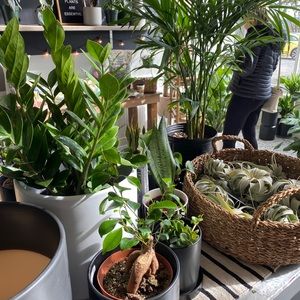 Meet your Posher, Trintiy